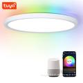 Factory Direct Smart Ceiling Lights: High-Quality, 300mm, 24W LED Lights with Tuya Wifi Control and Ambient Lighting Decoration